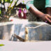 Biogasanlæg fra Bangladesh