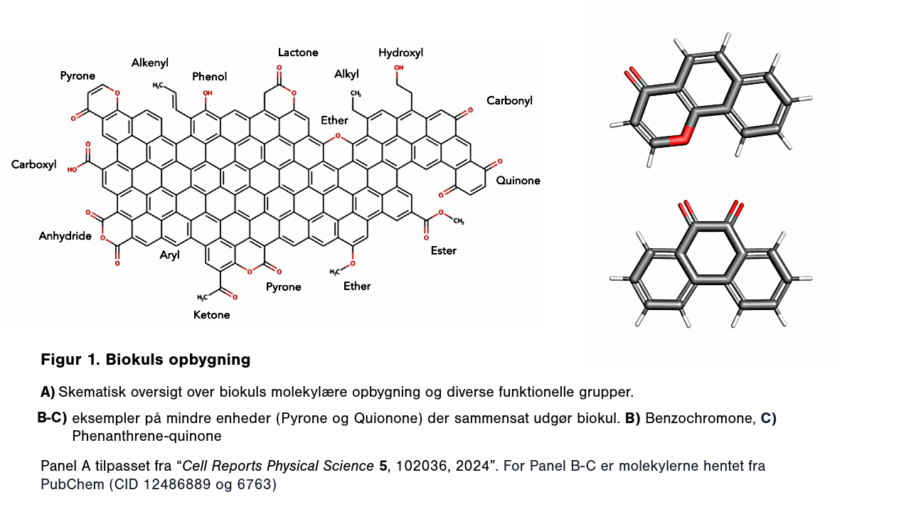 figur biokul 3