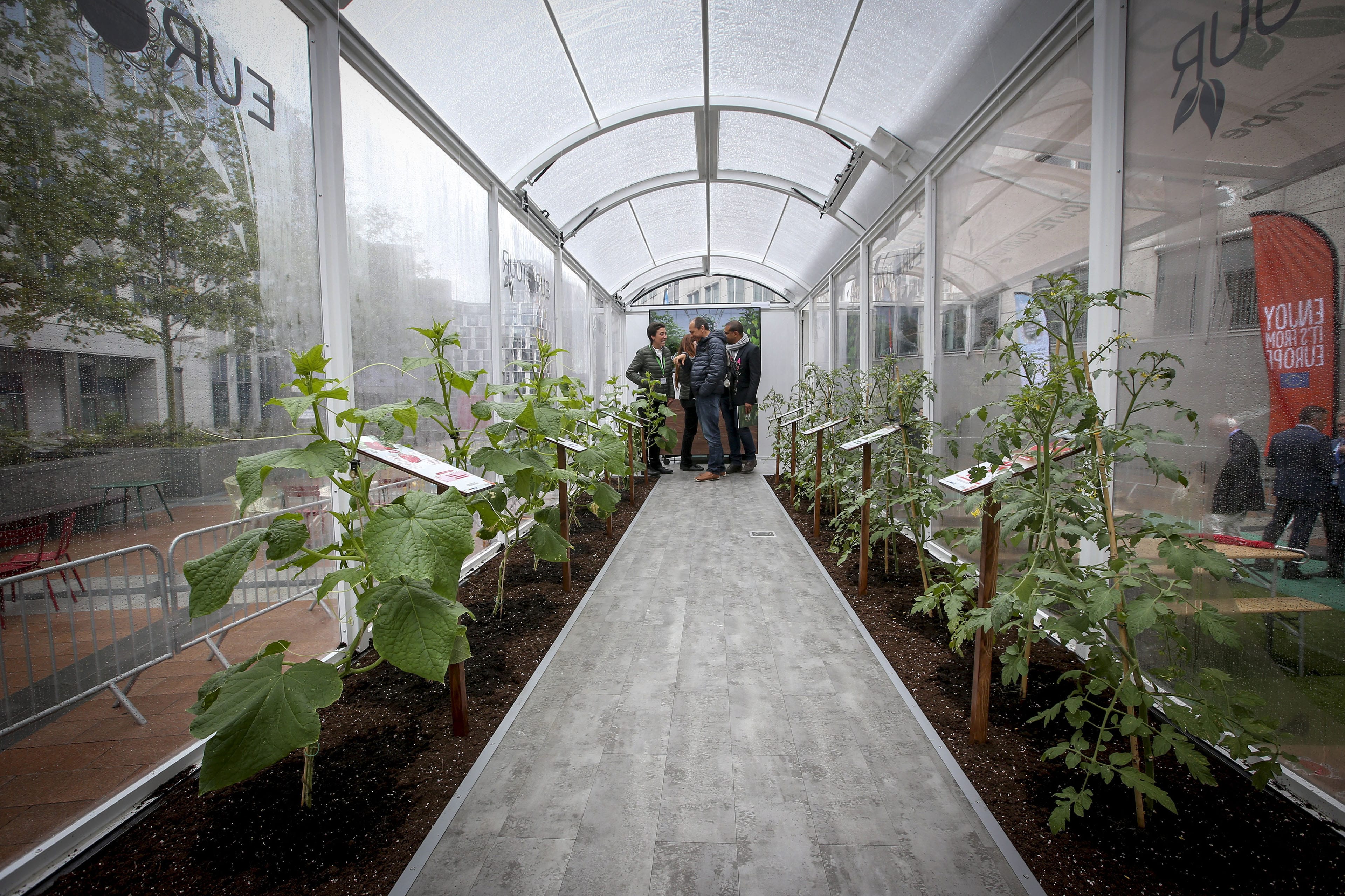 EP-092058A_Taste_of_Europe