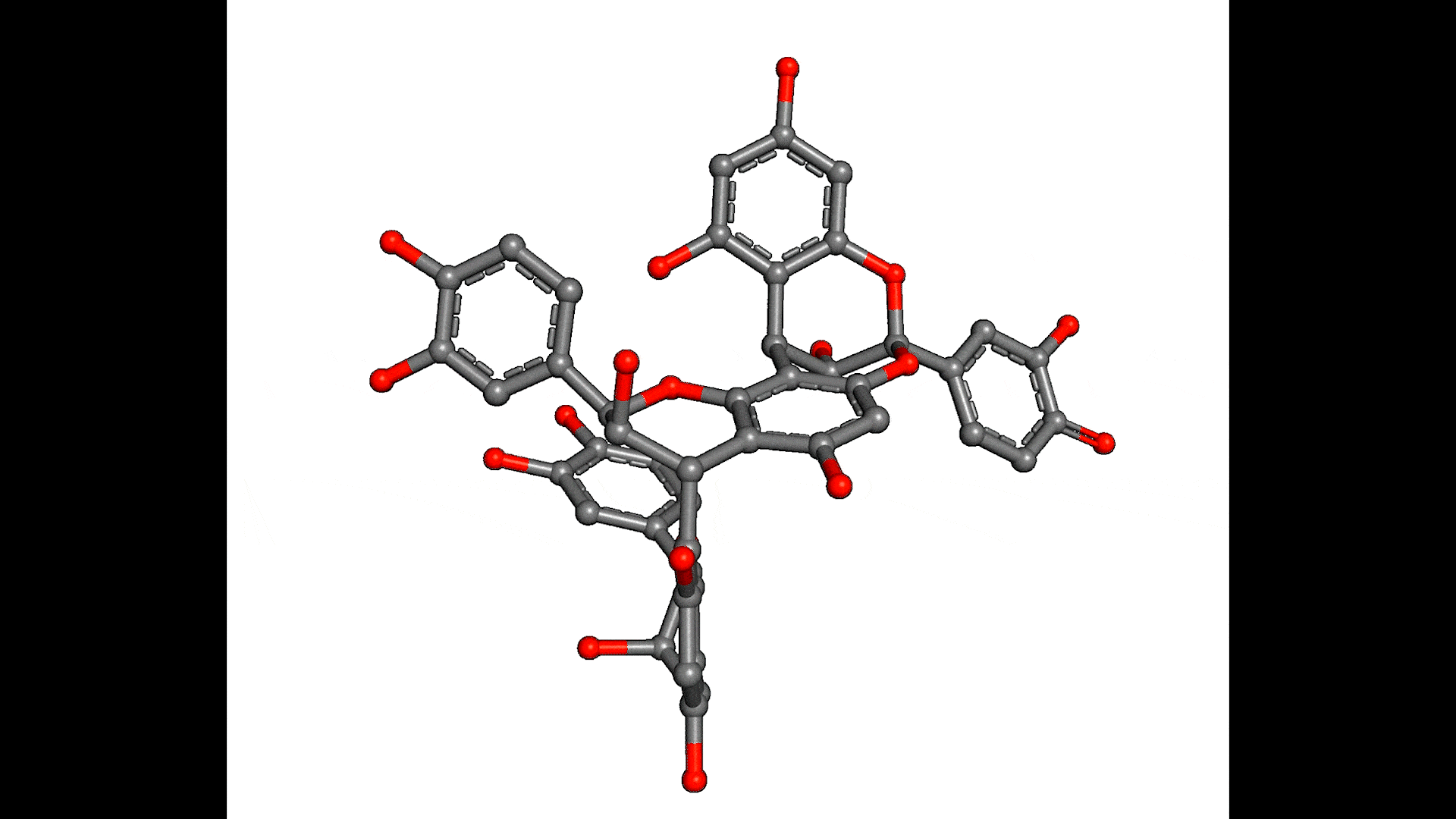 Animation viser Cinnamtannin B1, og det kan hæmme plante nedbrydende svampeenzymer. (Kilde: Tokin, R., Frandsen, K.E.H. et al (2021) )