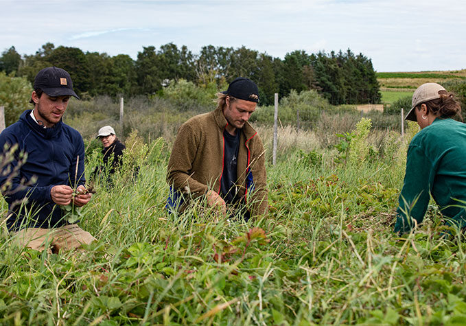 Landbrugselever arbejder i et markskel med vilde planter og biodiversitet i et landbrugslandskab.