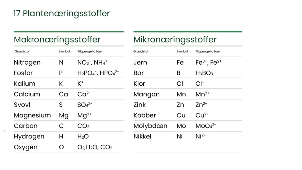 Oversigt over plantenæringsstoffer opdelt i makronæringsstoffer og mikronæringsstoffer med deres kemiske former