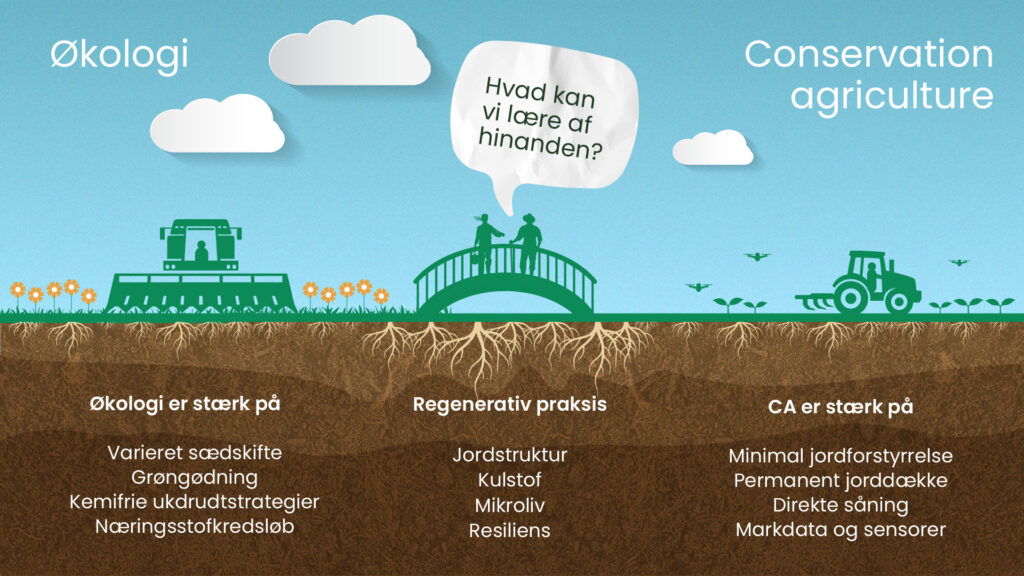 Grafik der sammenligner økologi og conservation agriculture med fokus på regenerativ praksis, jordstruktur, kulstof og mikroliv