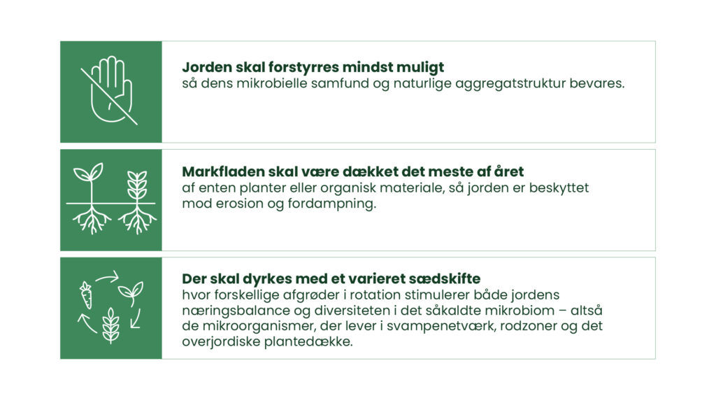 Grafik der viser tre principper i conservation agriculture: minimal jordforstyrrelse, permanent jorddække og varieret sædskifte