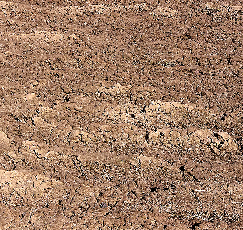 Sandjord med grov struktur og tydelige sandpartikler.