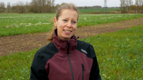 Veronika Hansen, adjunkt ved Københavns Universitet, står i en mark med forsøgsafgrøder og fortæller om jordstruktur og jordsundhed.
