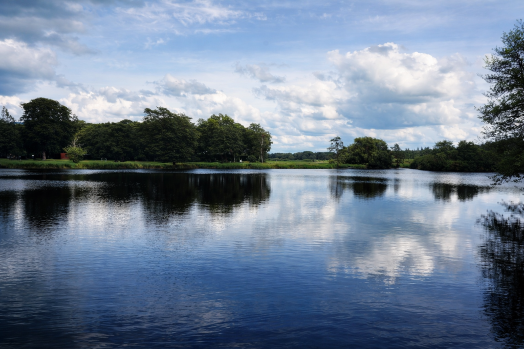 Vandhul omgivet af træer og vegetation i landbrugslandskab med spejling i vandet