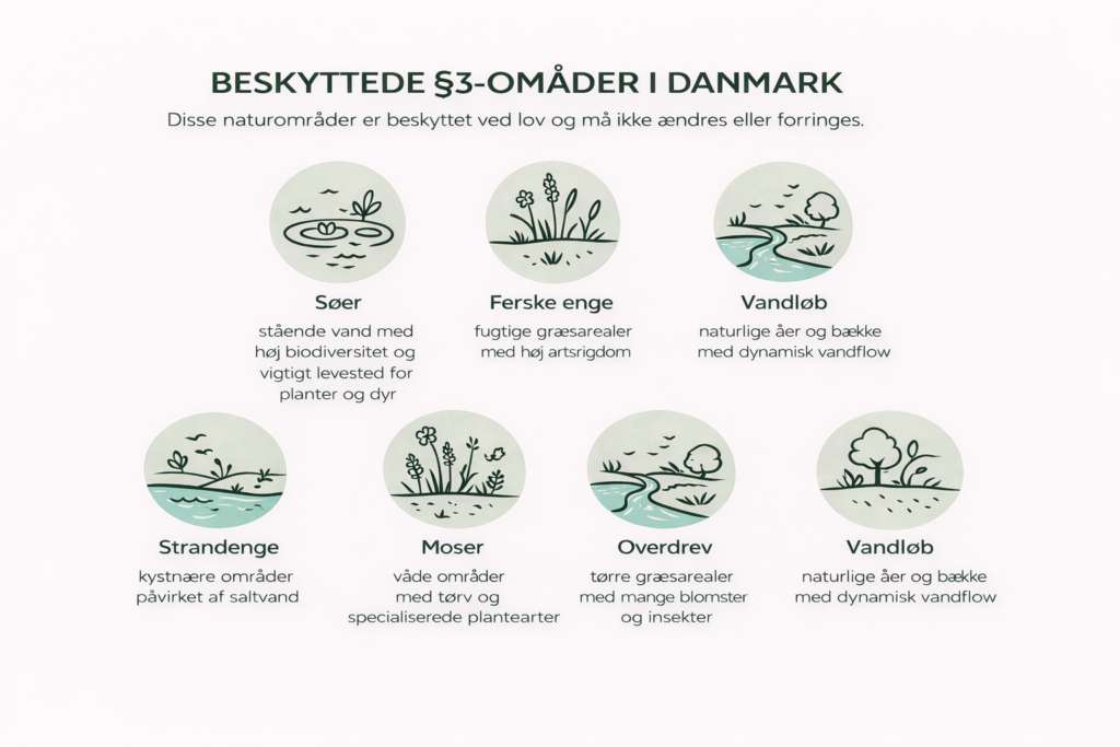 Infografik over beskyttede §3-naturområder i Danmark, herunder søer, moser, ferske enge, strandenge, heder, overdrev og vandløb, med korte forklaringer af deres karakteristika.