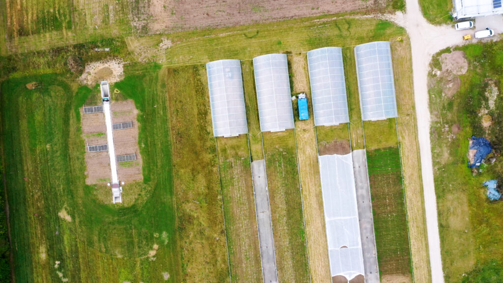 Luftfoto af markforsøg med drivtunneler og dyrkningsplots til undersøgelse af rodvækst og efterafgrøder