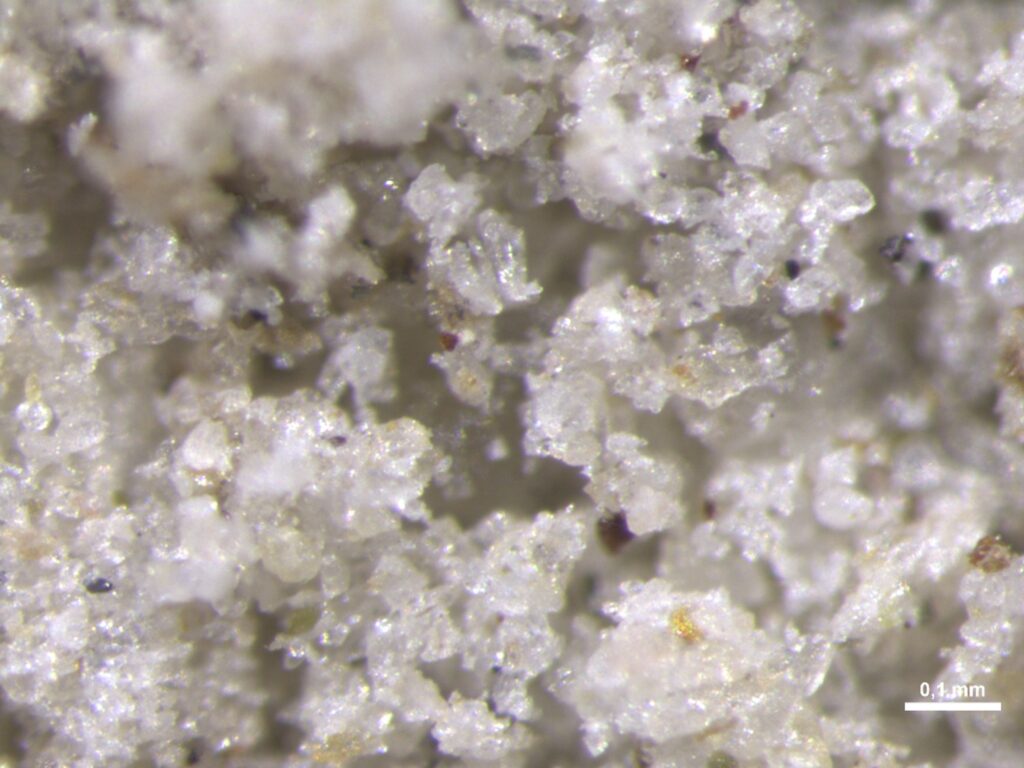 Mikroskopbillede af lerpartikler i jord hvor mineralsk-associeret organisk materiale (MAOM) er bundet til overfladen