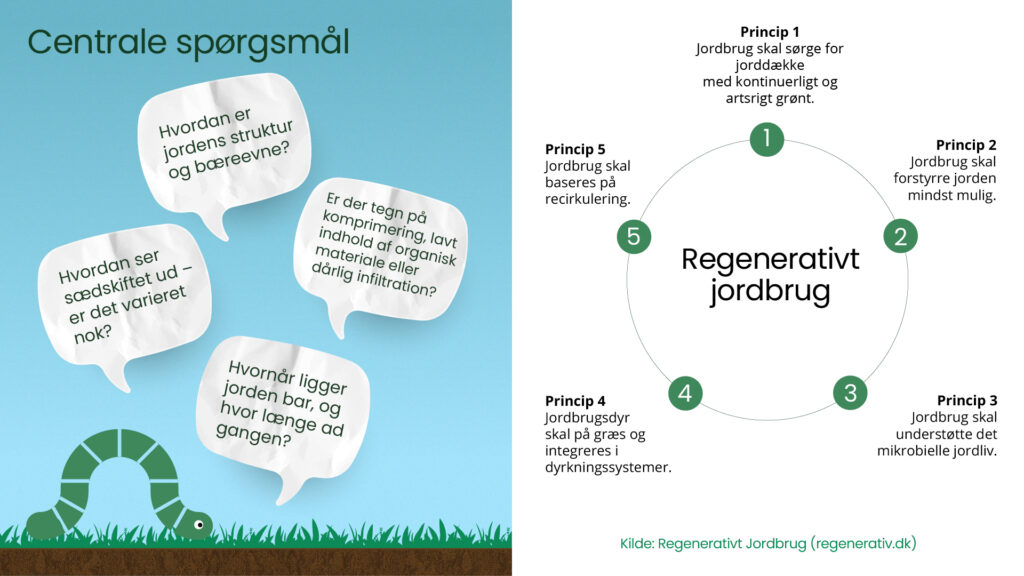 Infografik med centrale spørgsmål om jordkvalitet og fem principper for regenerativt jordbrug som jorddække, minimal forstyrrelse og recirkulering.