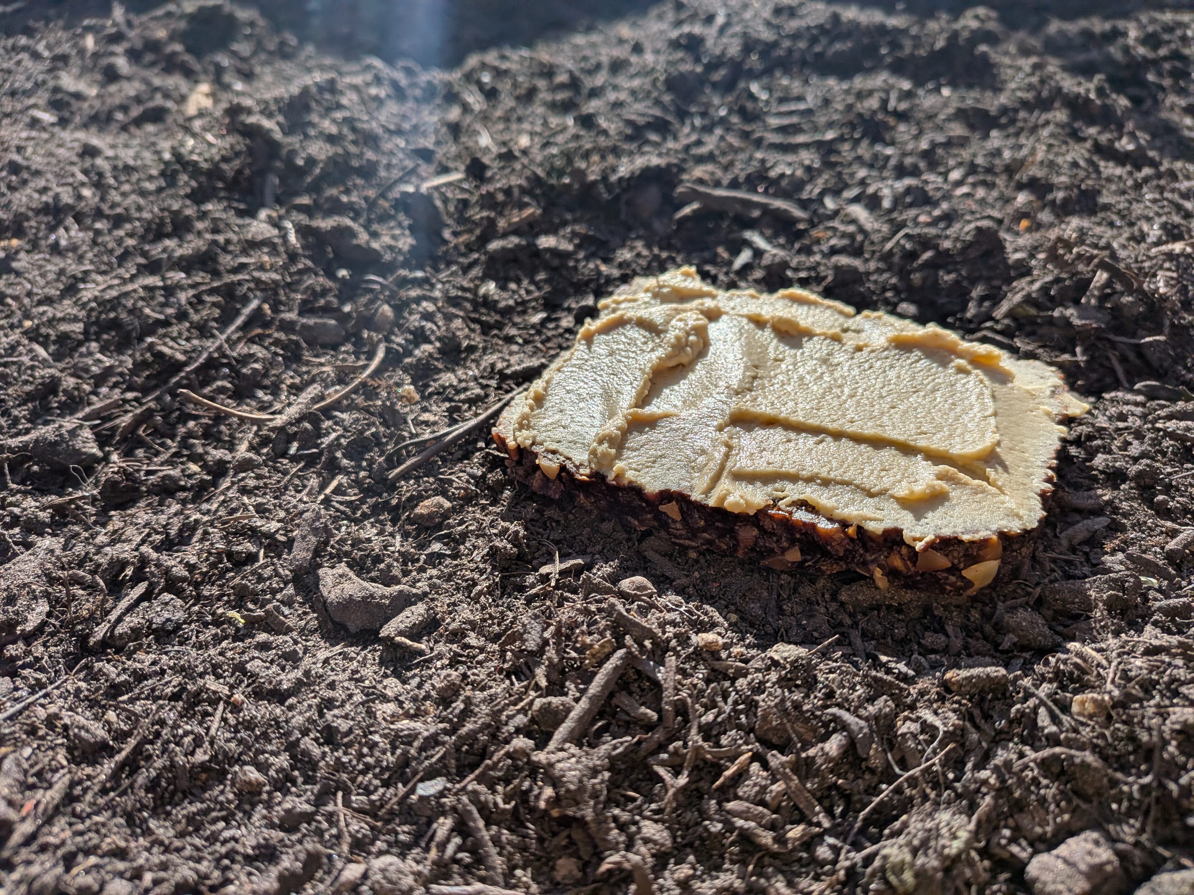 Brød med hummus lagt direkte på jord som metafor for humus-begrebet i jord