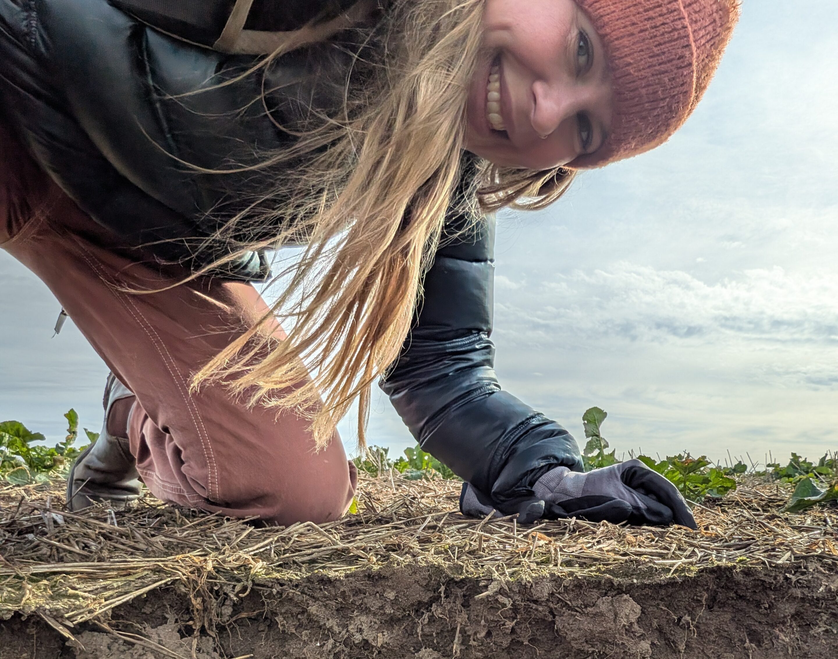 Tine Engedal ser ned i en jordprofil i mark og undersøger jordens lag og struktur