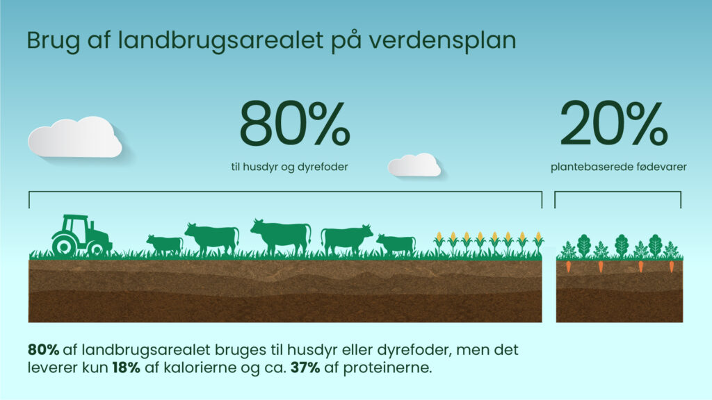 Brug af landbrugsarealet på verdensplan Infografik der viser, at 80 % af verdens landbrugsareal bruges til husdyr og dyrefoder, mens 20 % bruges til plantebaserede fødevarer.