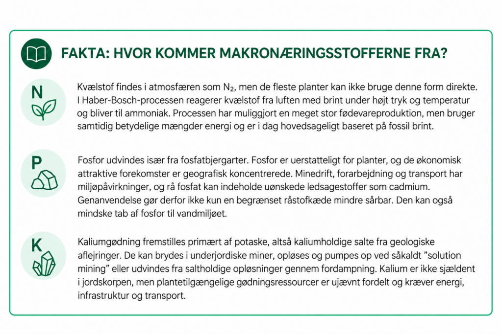 Faktaboks: Hvor kommer makronæringsstofferne fra? Faktaboks om, hvor makronæringsstofferne kvælstof, fosfor og kalium kommer fra.